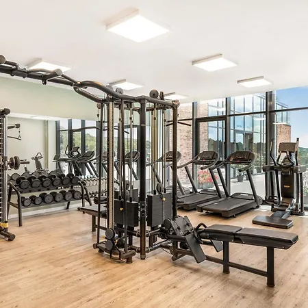 Movenpick And Fruske Terme 维尔蒂尼克