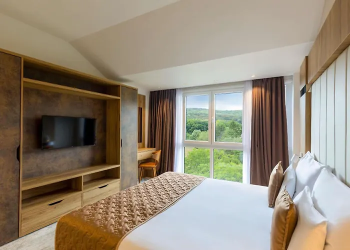 Hotel Movenpick And Fruske Terme