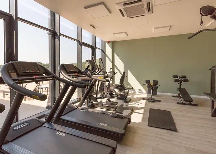 Movenpick And Fruske Terme 4* Vrdnik