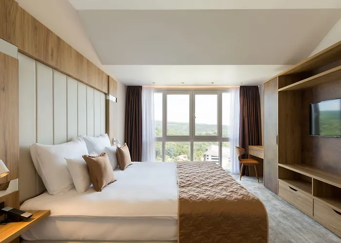 Hotel Movenpick And Fruske Terme